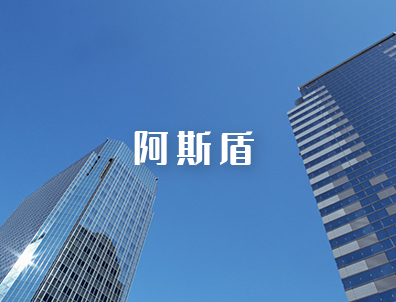 阿斯盾網(wǎng)站建設(shè)